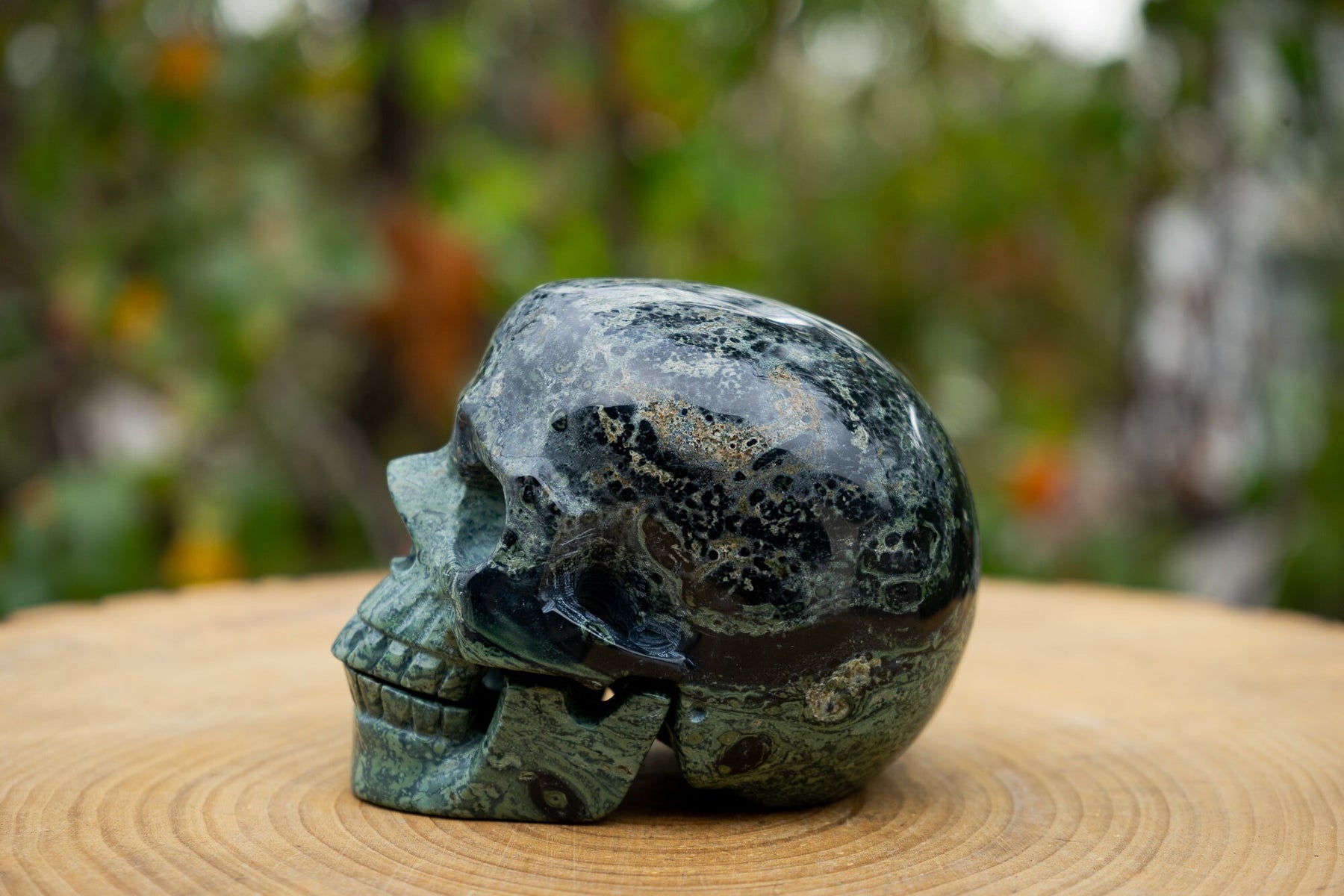 Kambaba Jasper 4.5" Crystal Skull