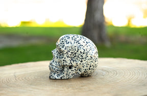 Dalmatian Jasper 3.5" Skull