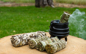 Sage Free Smudge Sticks - Arbor & Herb