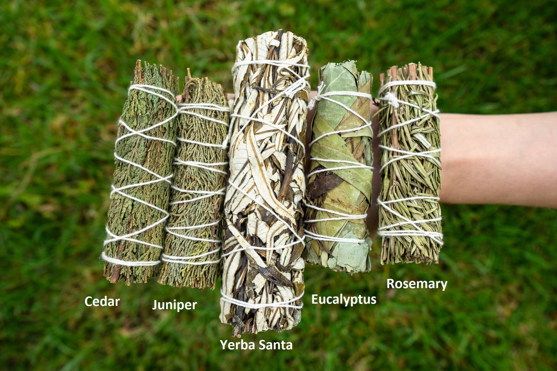 Sage Free Smudge Sticks - Arbor & Herb